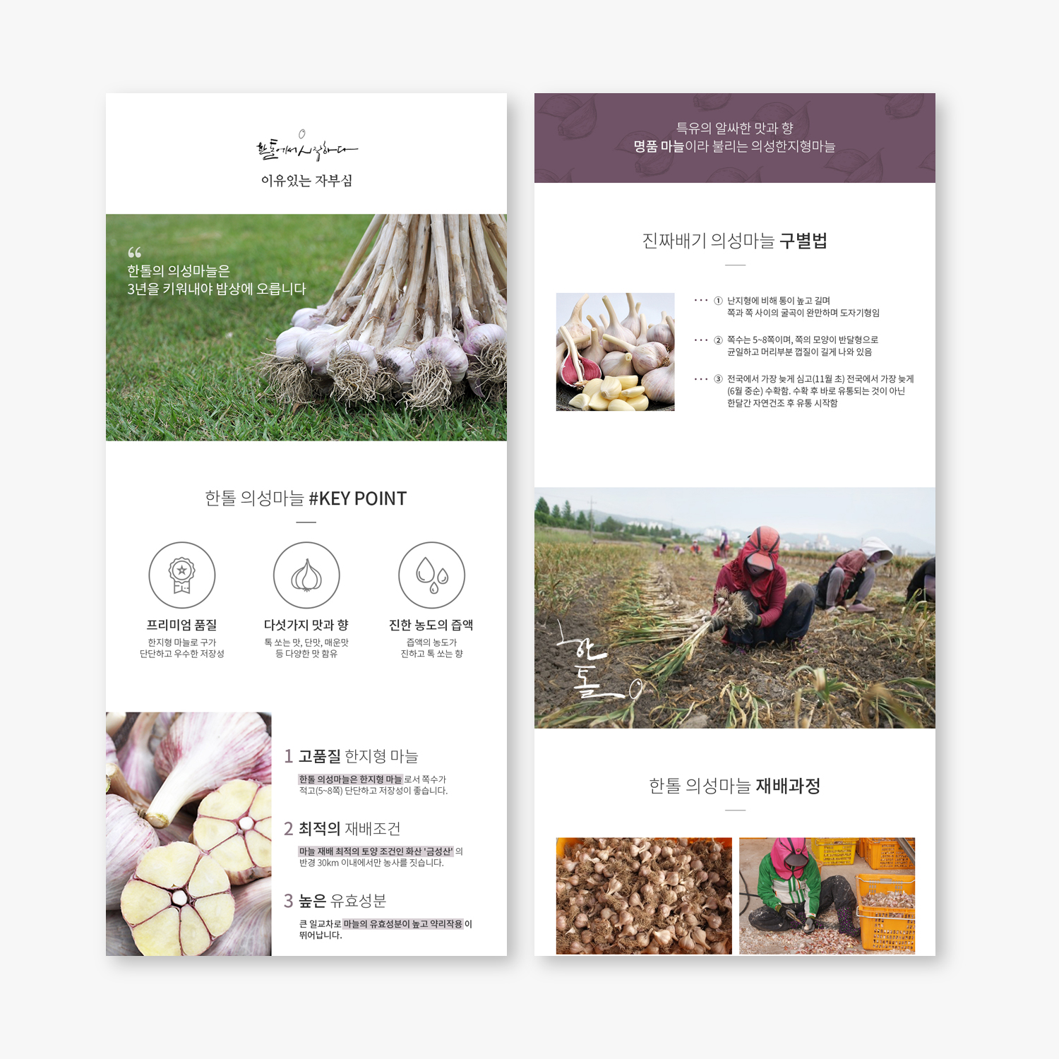 portfolio-image
